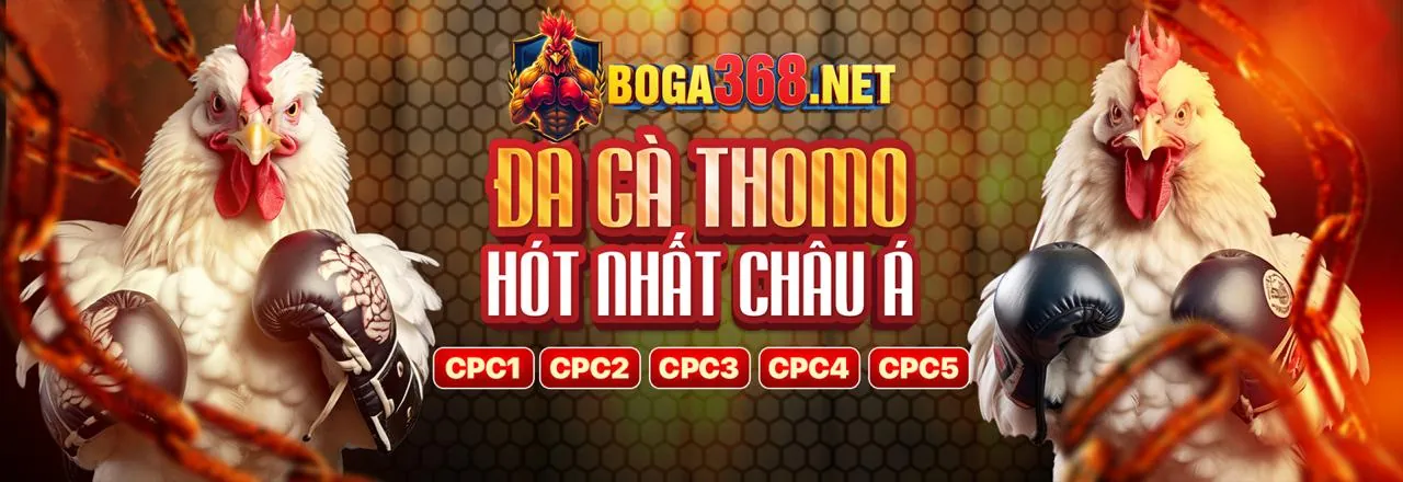 Hình ảnh minh họa sự uy tín của nhà cái 555win
