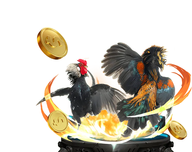 Hình ảnh hướng dẫn và mẹo cá cược tại 555win
